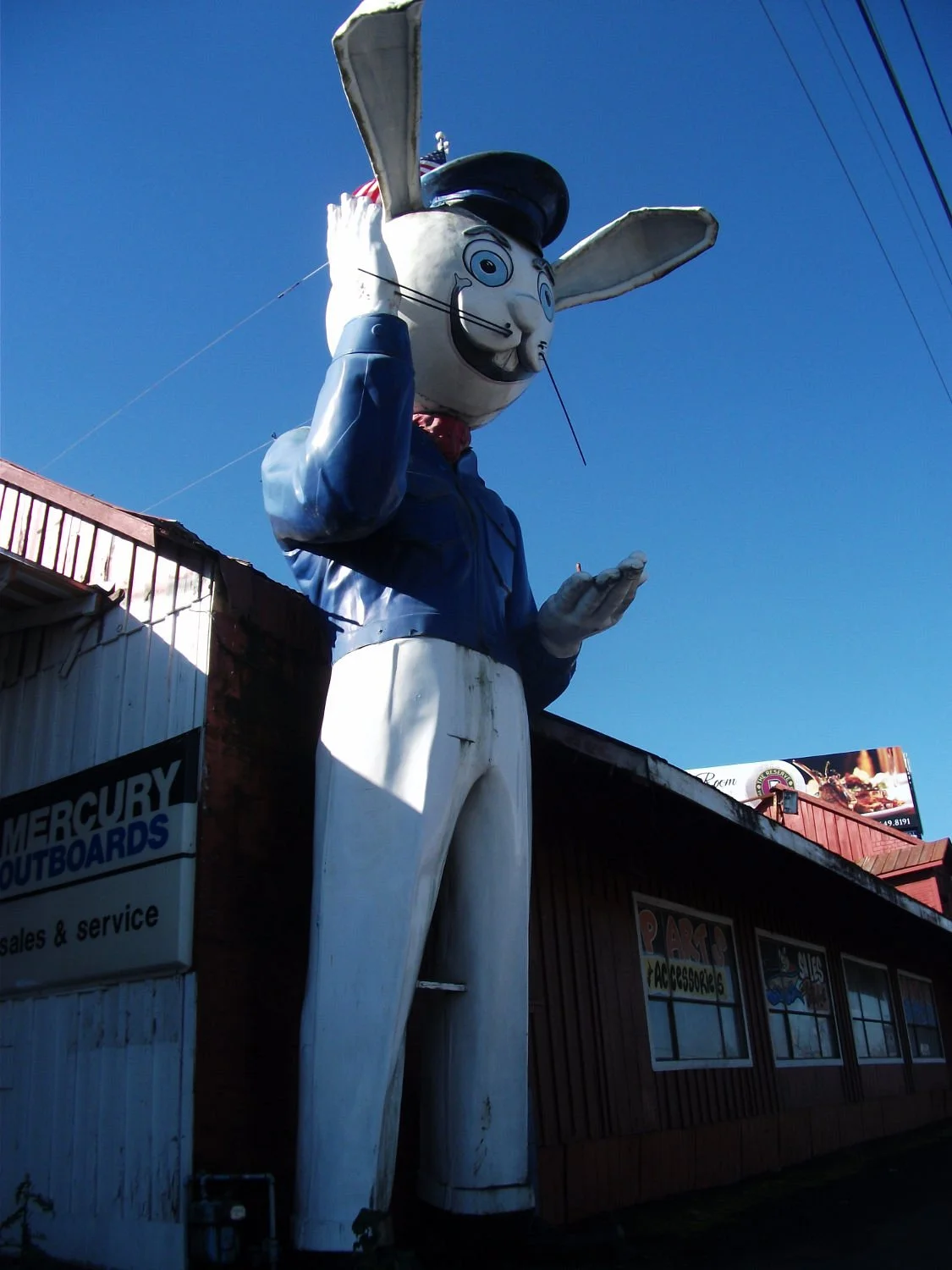 Harvey The Giant Rabbit