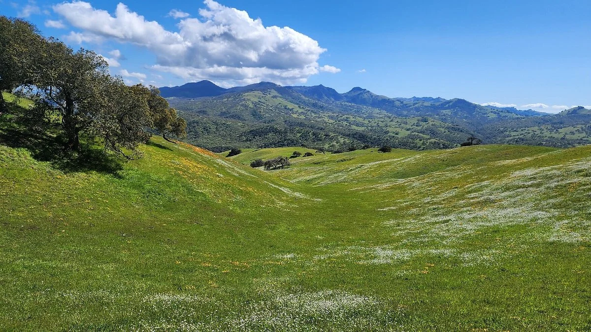 Pacheco State Park