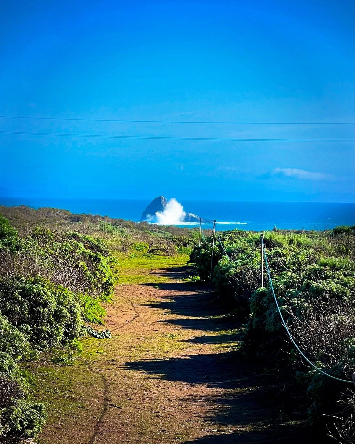 Boucher trail