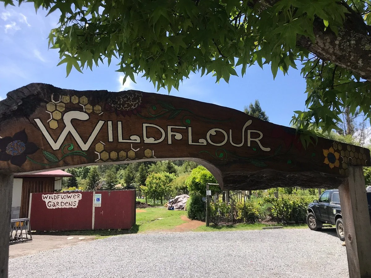 Wild Flour Organic Bakery & Gardens