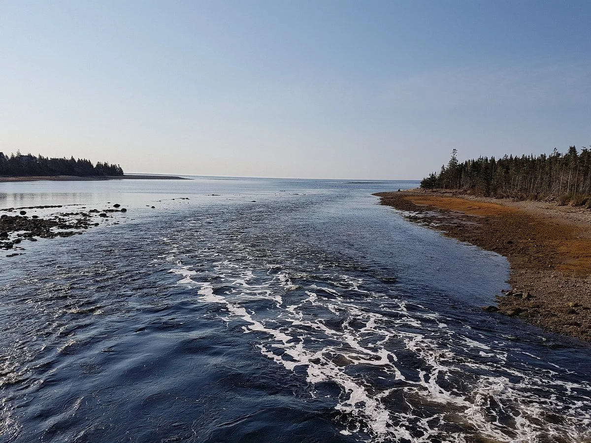 Atlantic View Trail