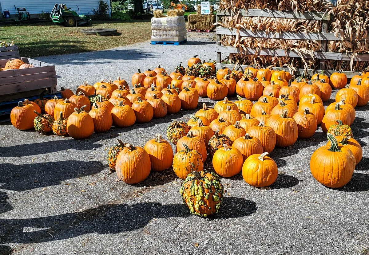 Hillcrest Orchard