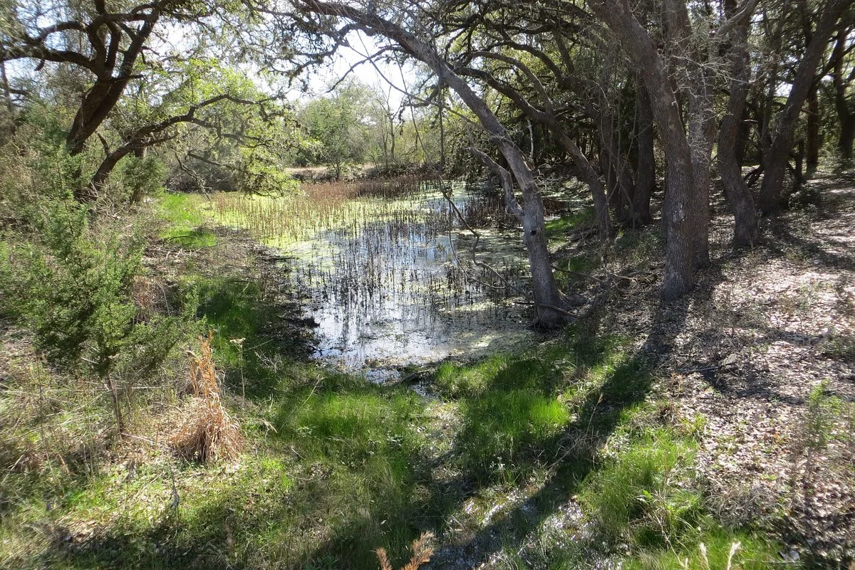 Charro Ranch Park
