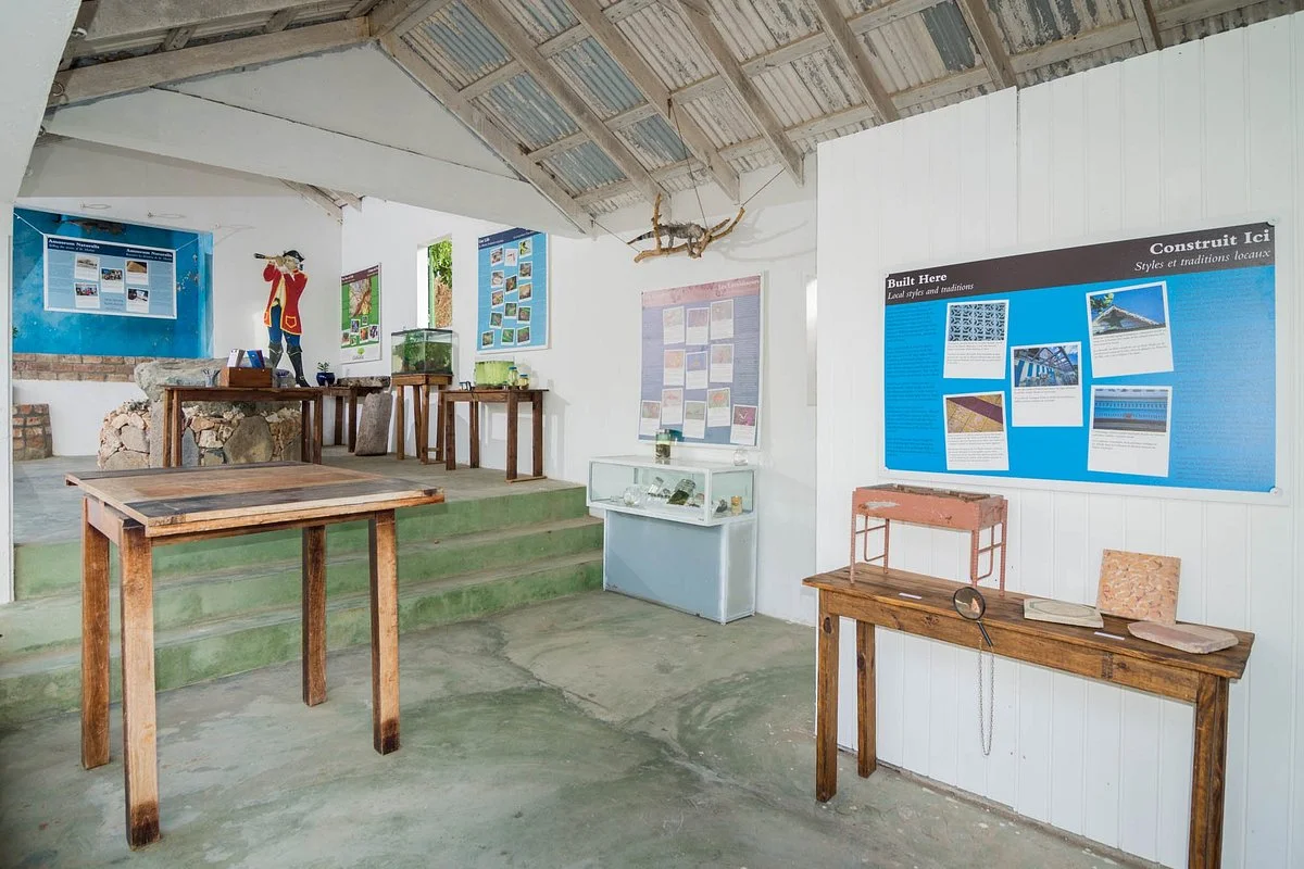 Amuseum Naturalis