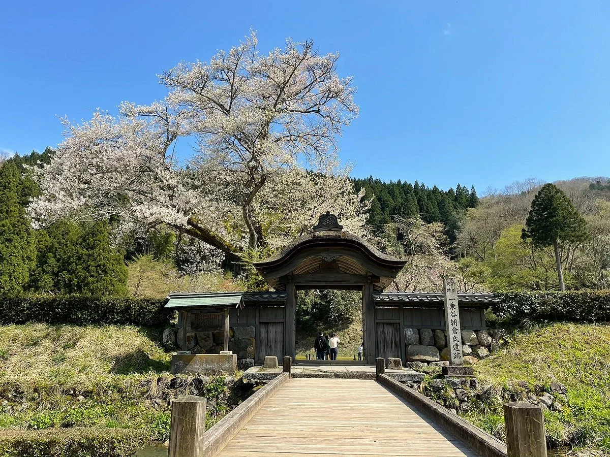 Ichijodani Asakurashi Ruin