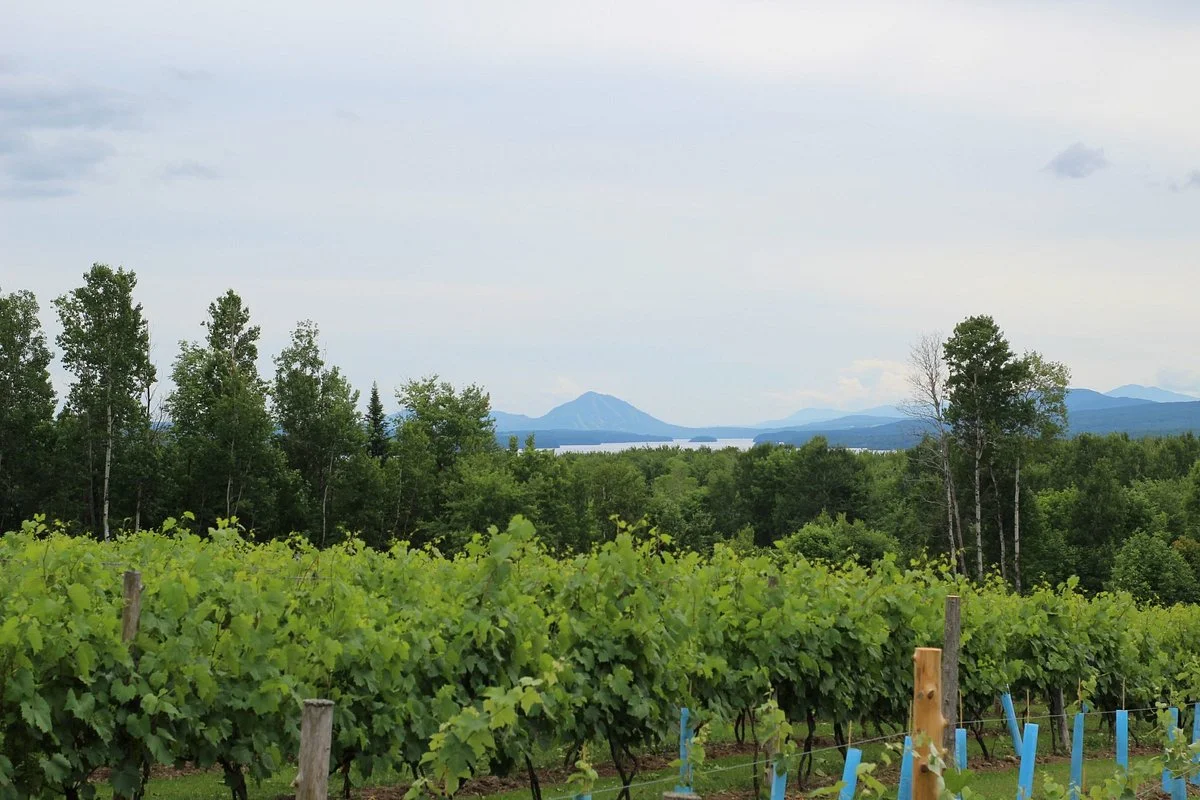 Au Vignoble d’Orford