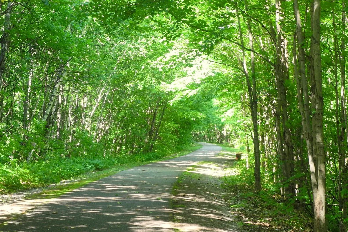 Tay Shore Trail