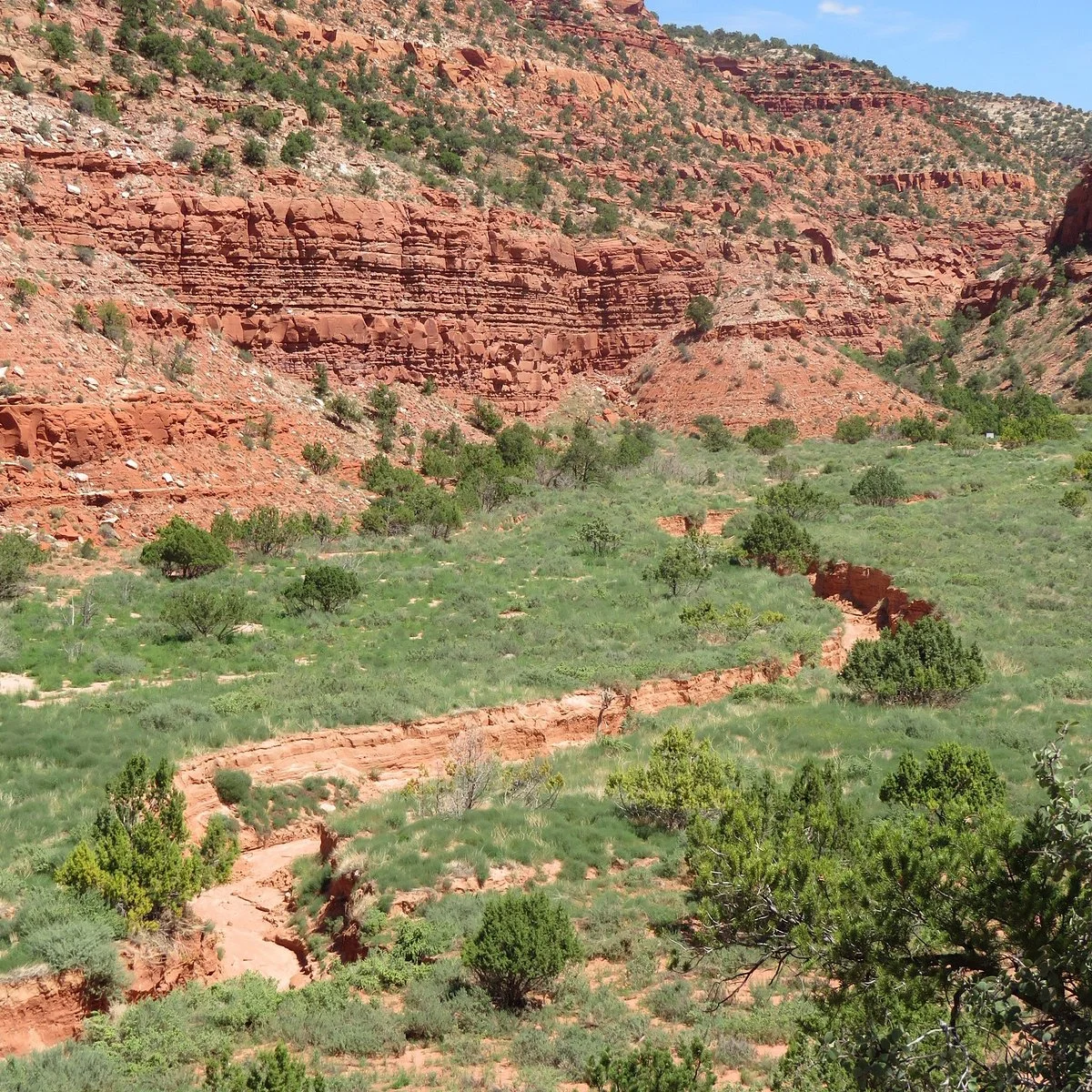 Tom’s Canyon Trail