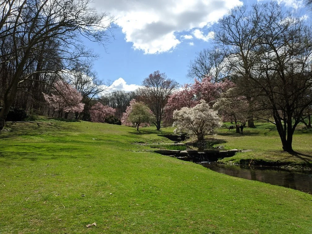Valley Garden Park