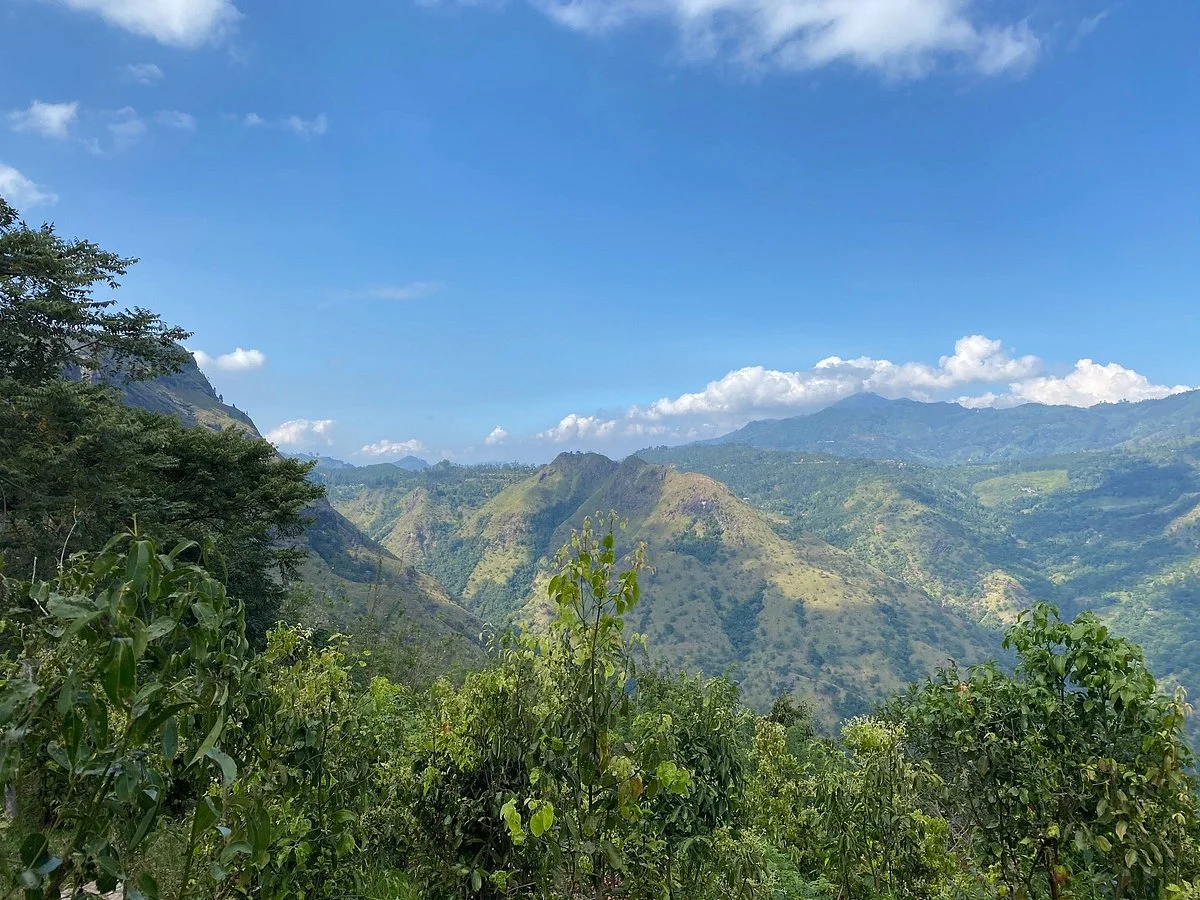 Amba Estate