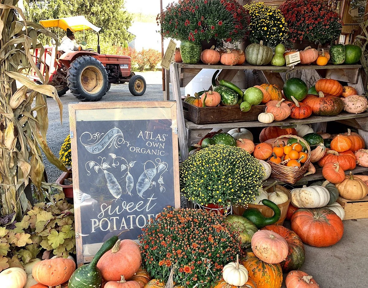 Atlas Farm