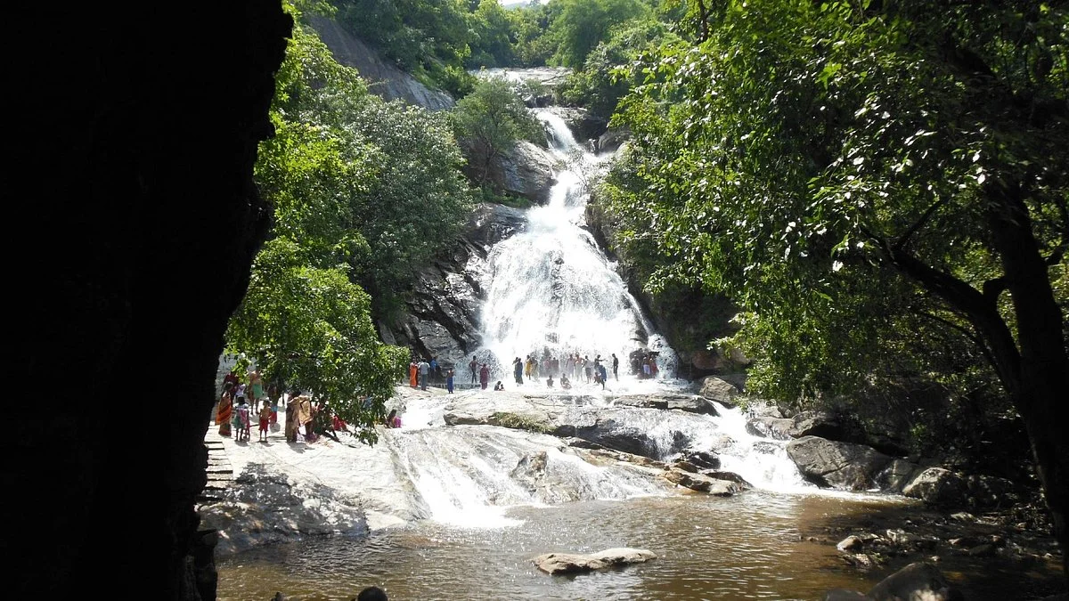 Monkey Falls