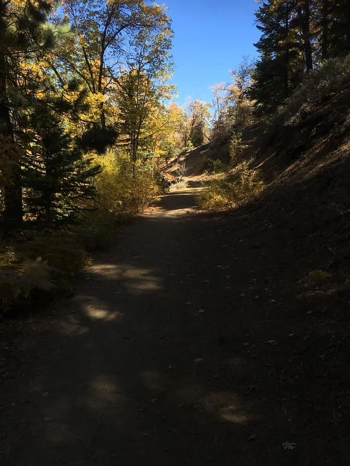 Towne Trail