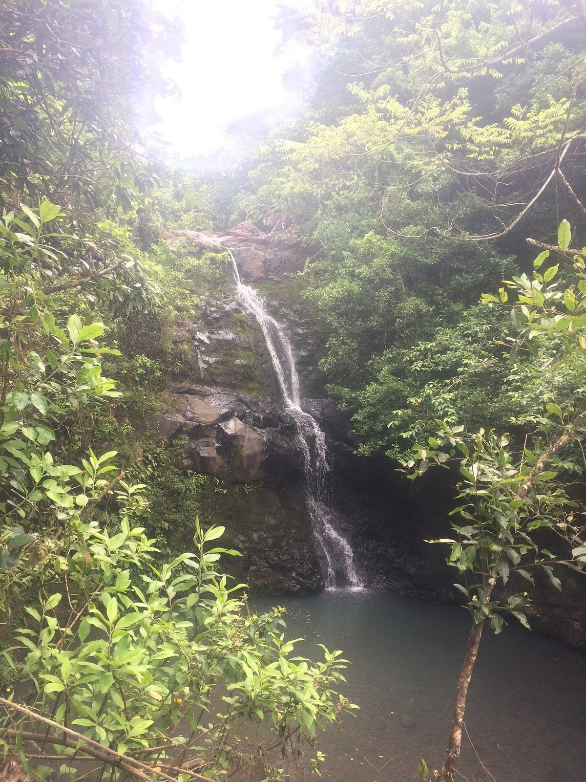 Waimano Ridge Trail