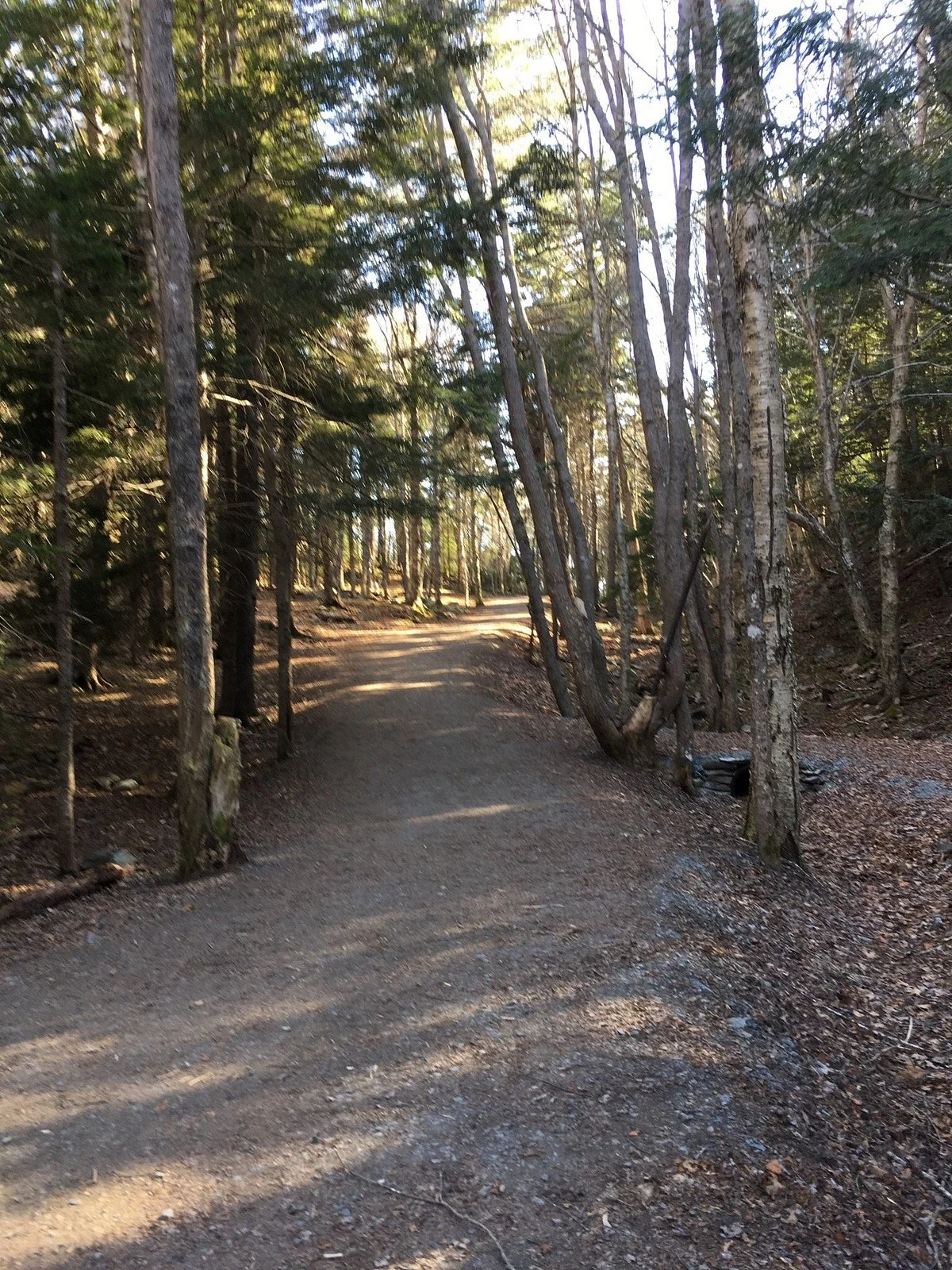 Hemlock Ravine