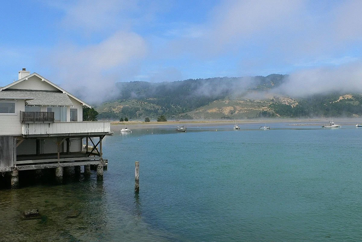 Bolinas Lagoon