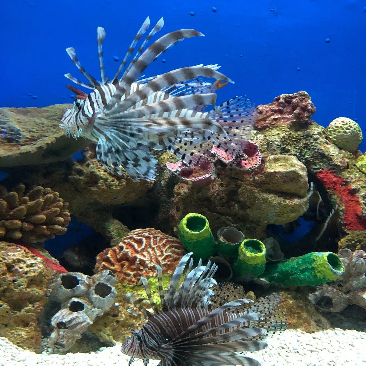 Manila Ocean Park