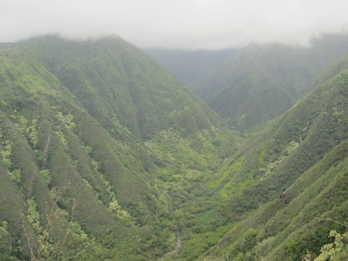Waihee Canyon