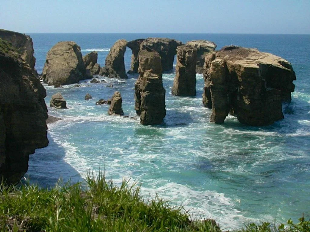 Point Buchon Trail