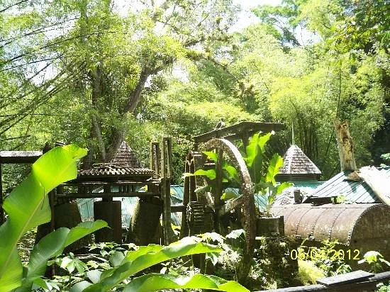 Arnos Vale Waterwheel and Nature Park