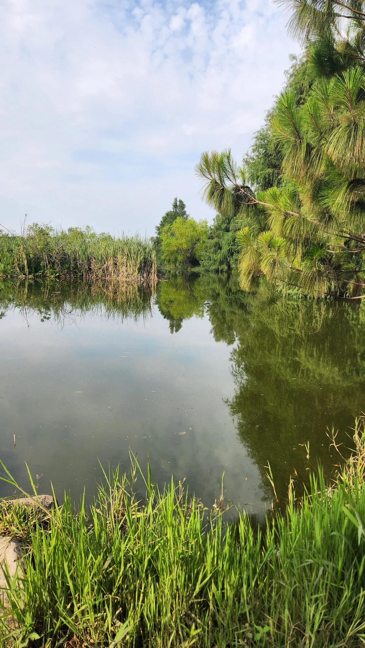 Parque Ecologico Metropolitano