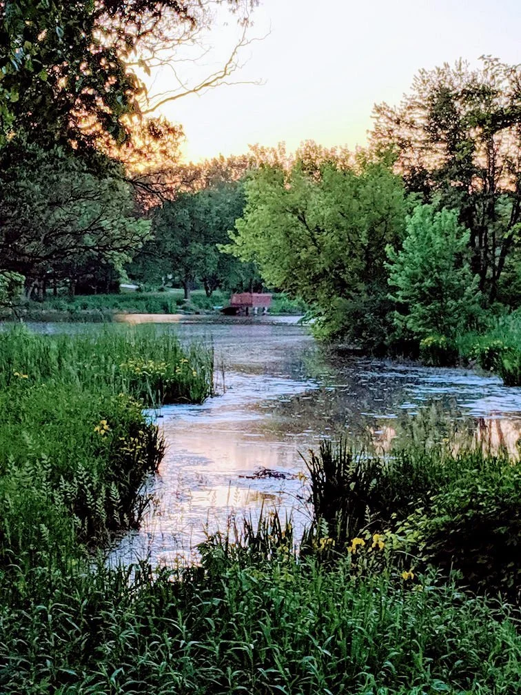 Timber lake park