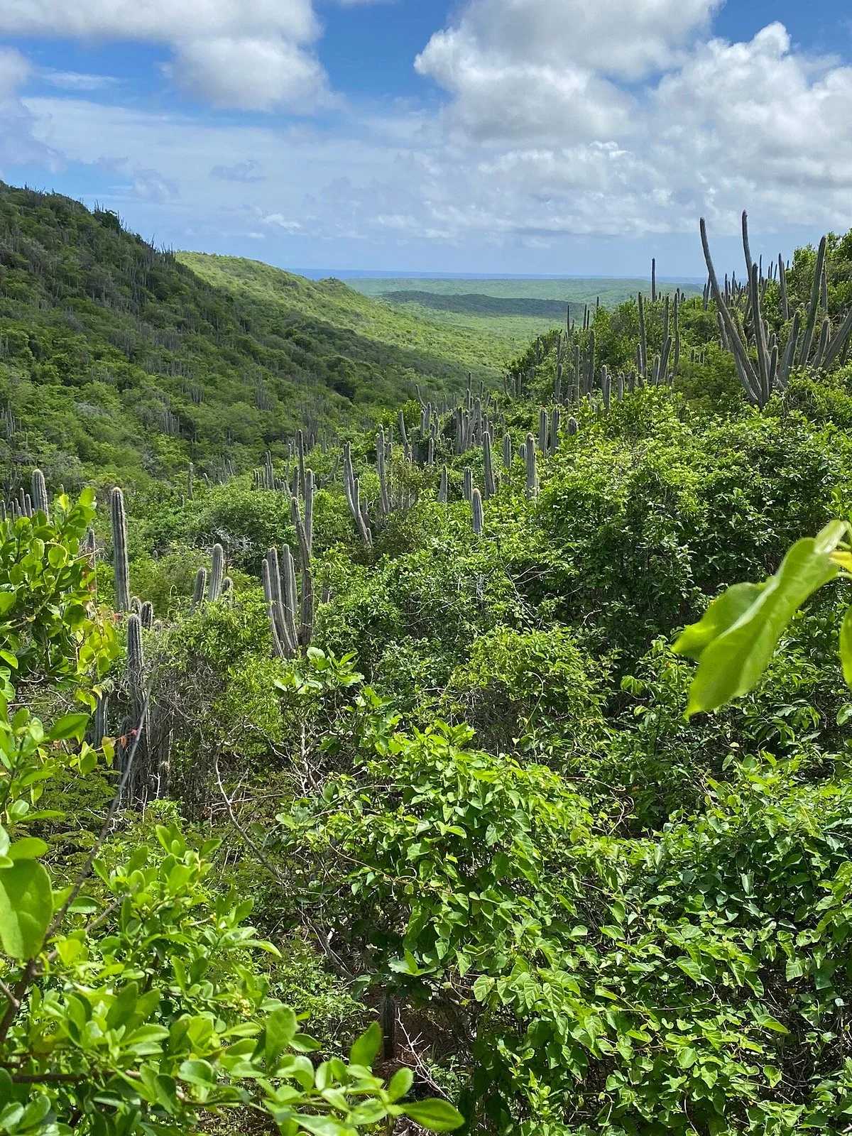 Cristoffel National Park