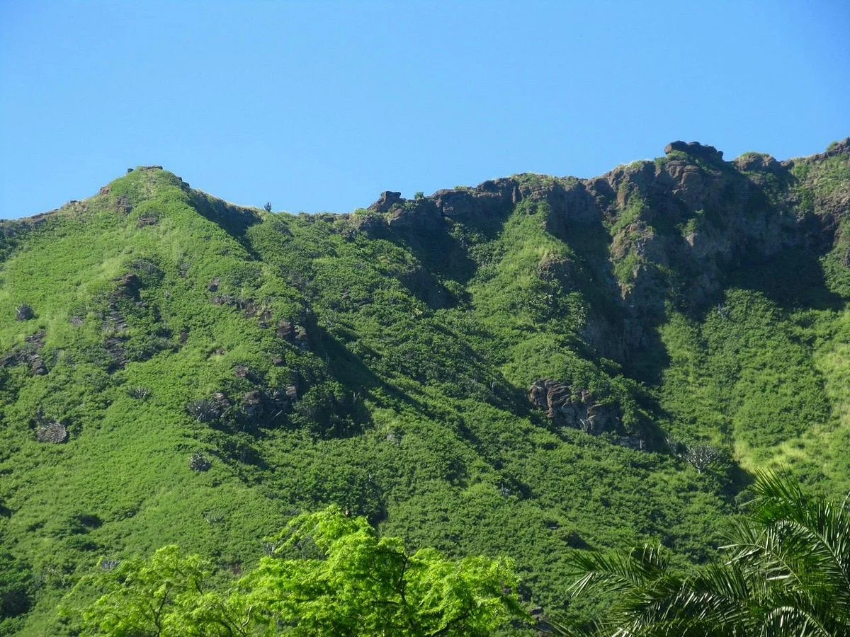 Koko Crater Botanical Garden