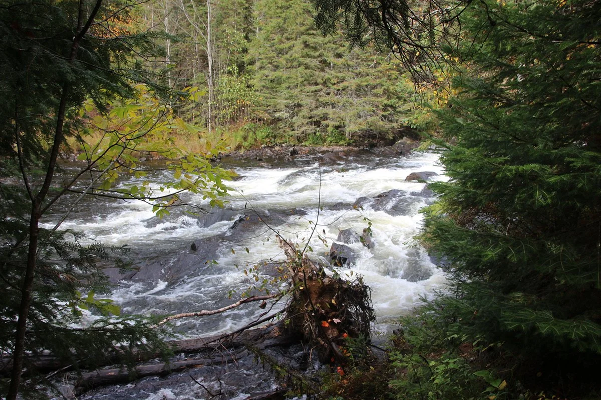 Tea Lake Dam Picnic Area