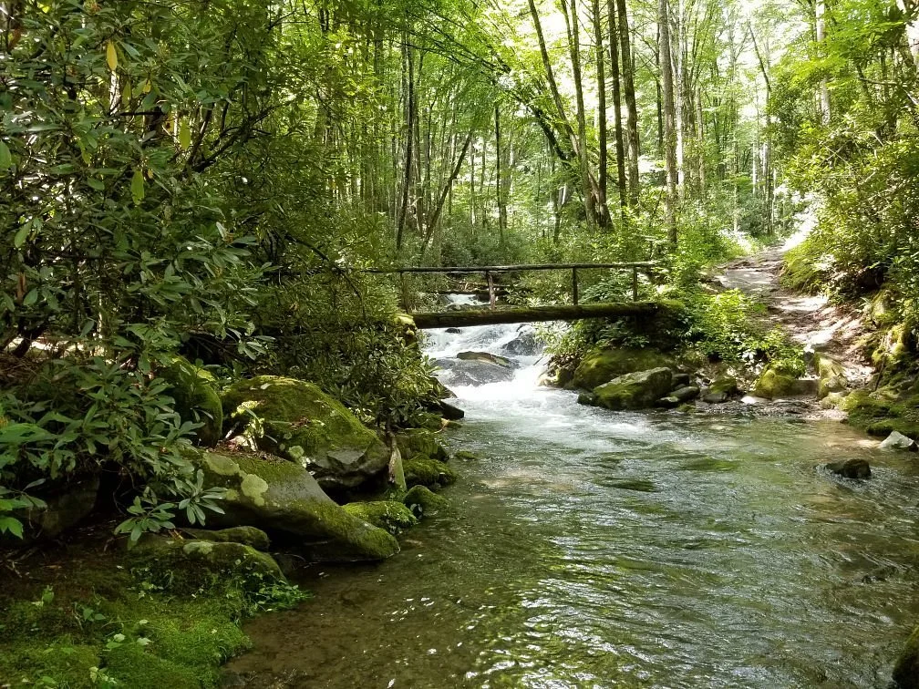 Kephart Prong Trail