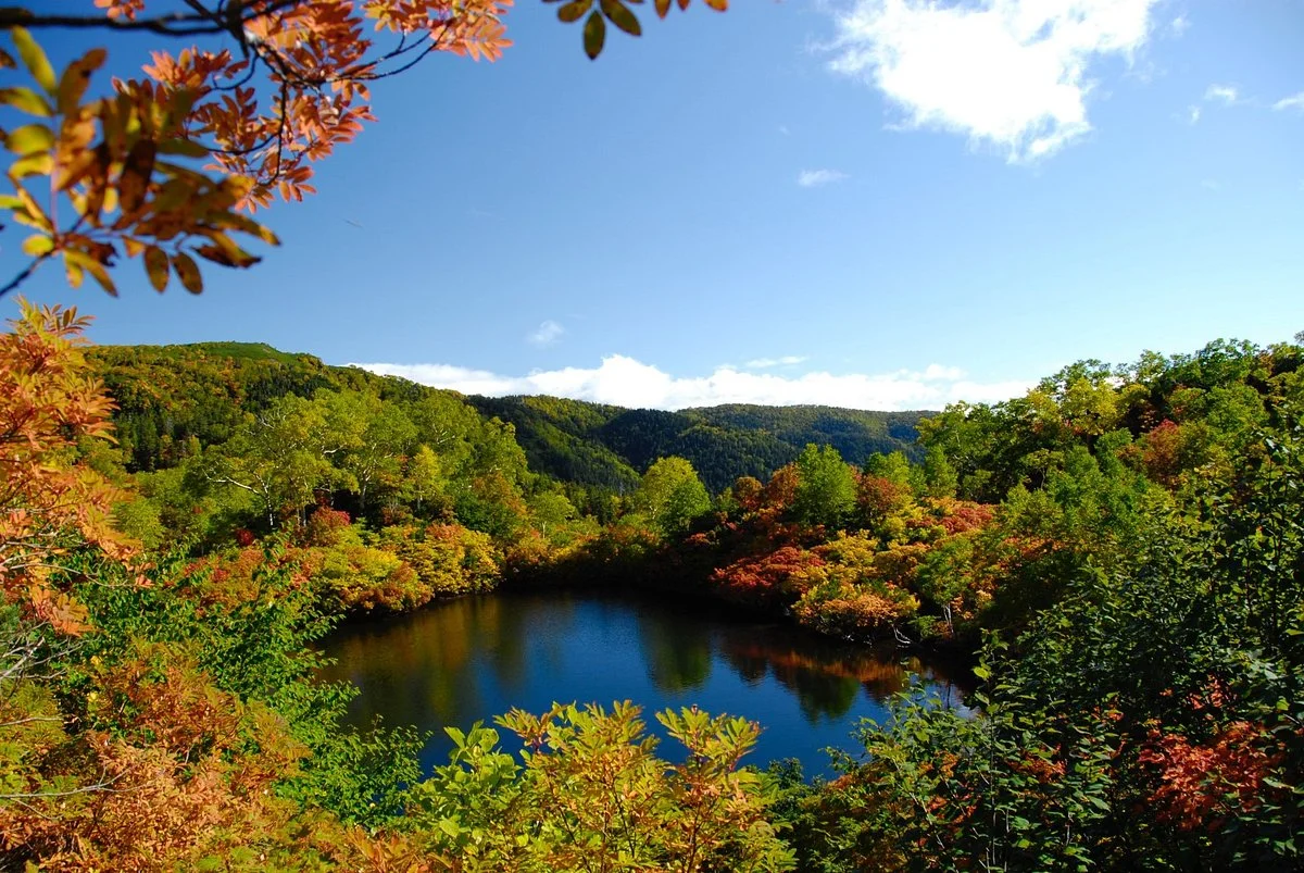 Daisetsu Kogen Swamp