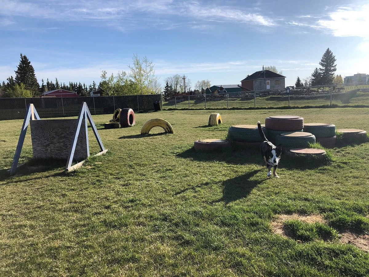 Lloydminster’s Off Leash Dog Park