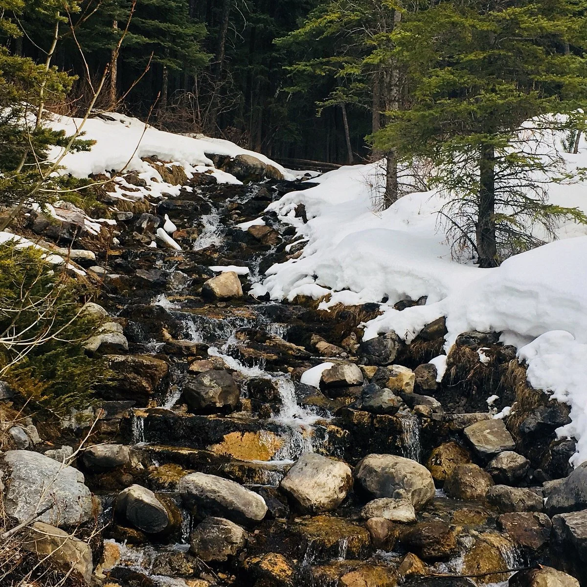 O'shaughnessy Falls