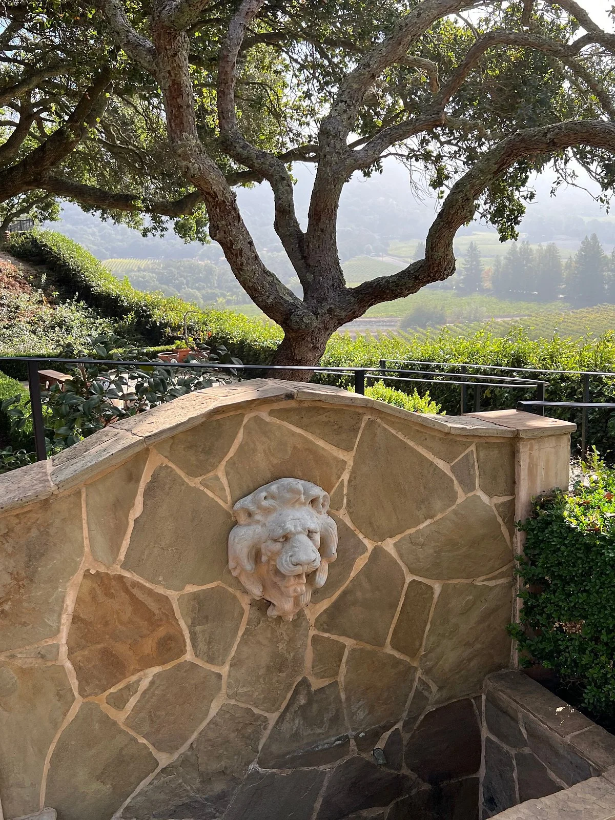 Sodaro Estate Winery