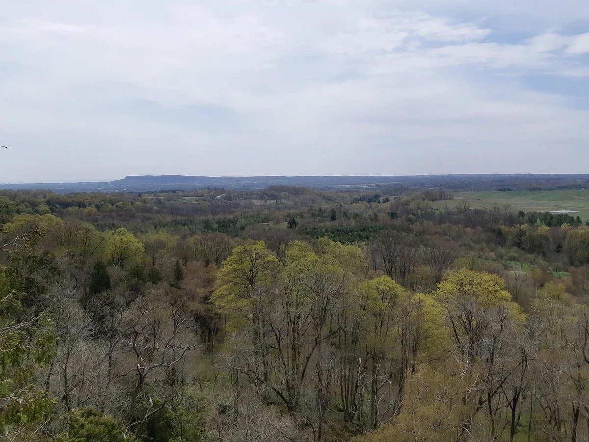 Crawford Lake to Rattlesnake Point