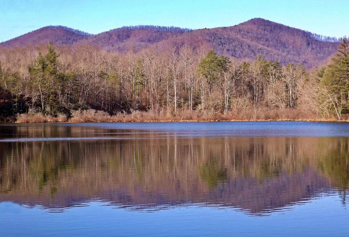 Bent Creek Experimental Forest
