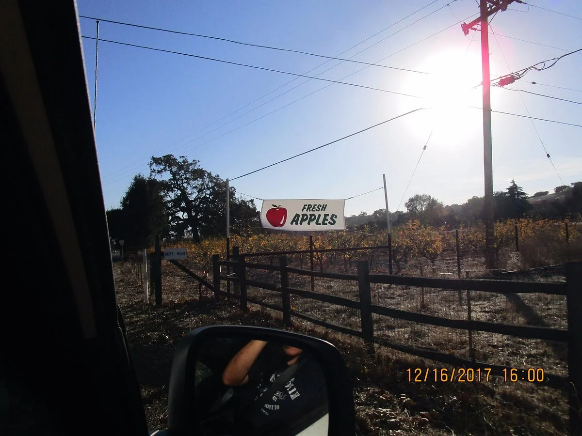Greenhaven Orchard