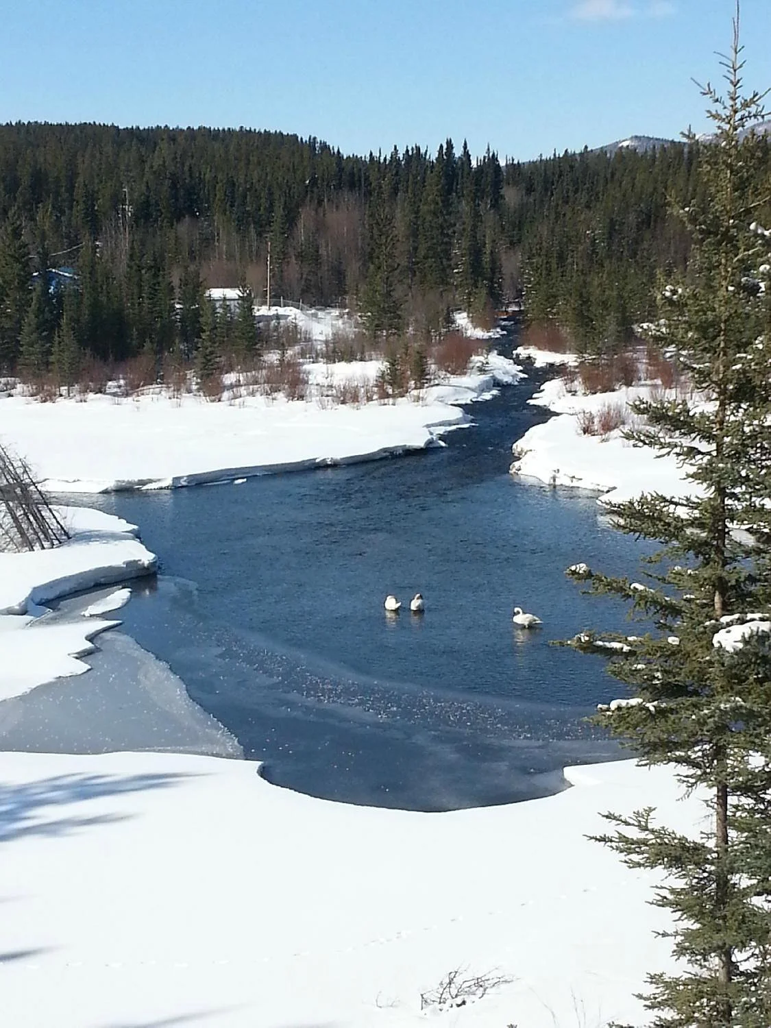 McIntyre Creek