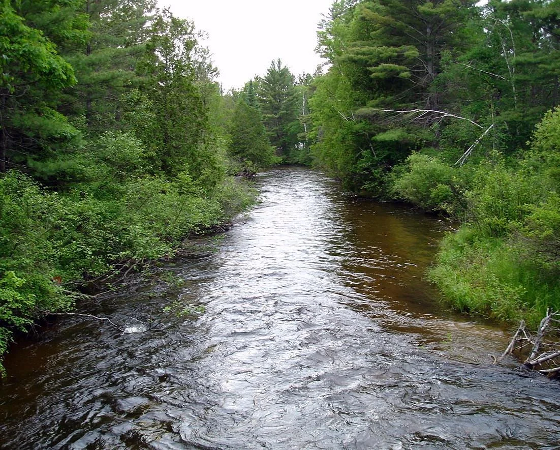 Boardman River