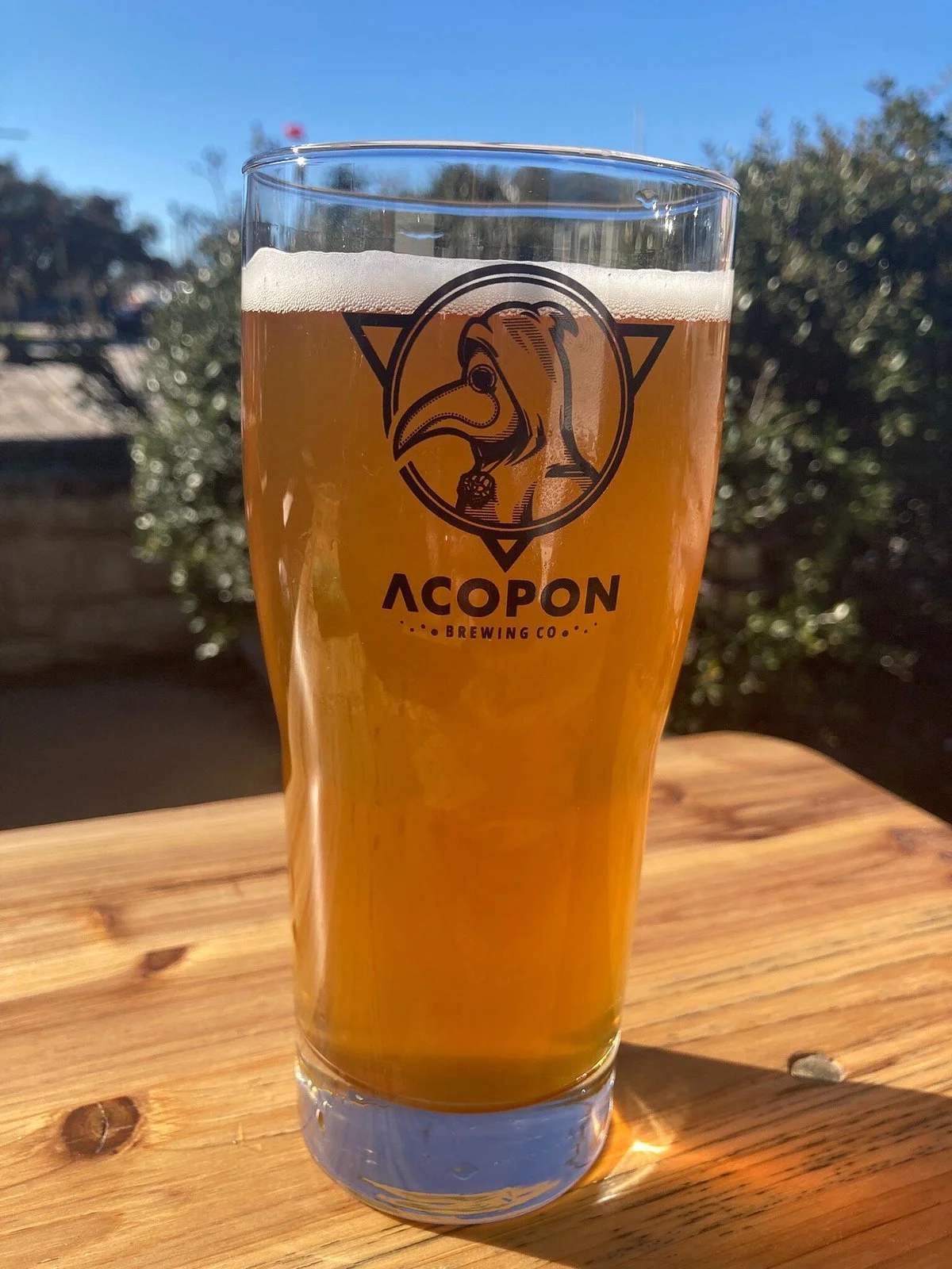 Acopon Brewing Co.
