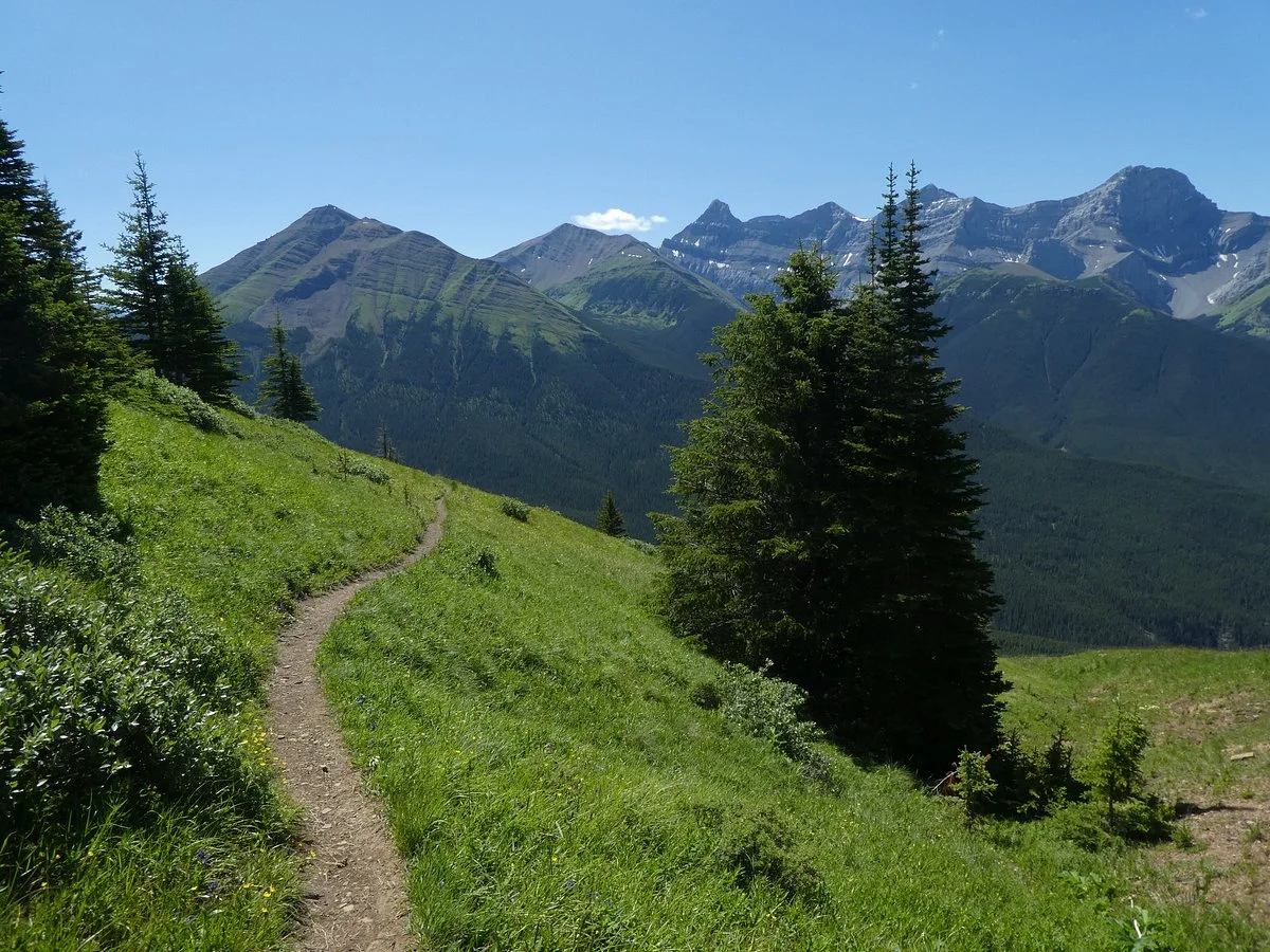 Pigeon Mountain Trail