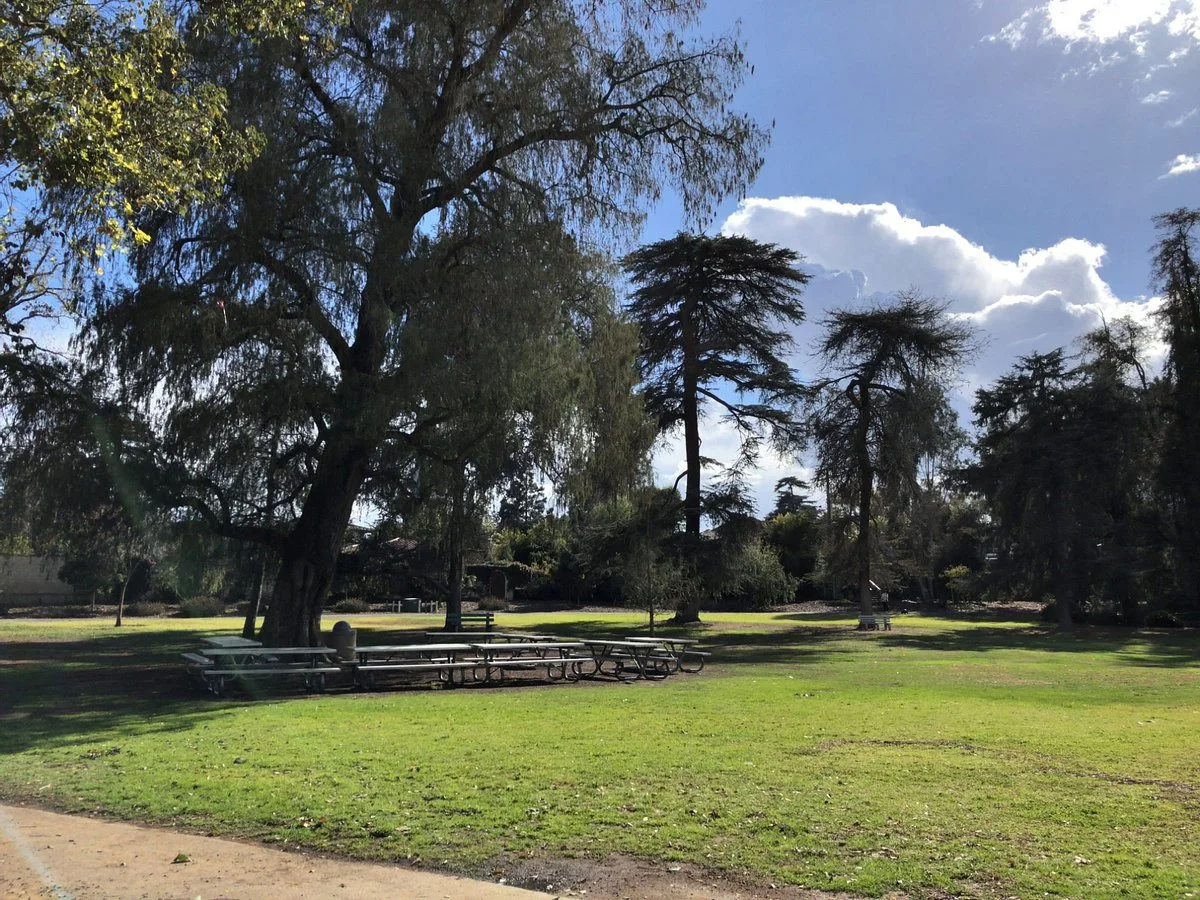 Lacy Park