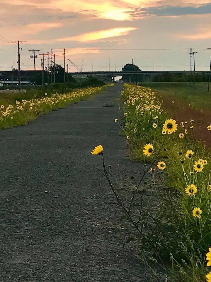 Prairie Sunset Trail