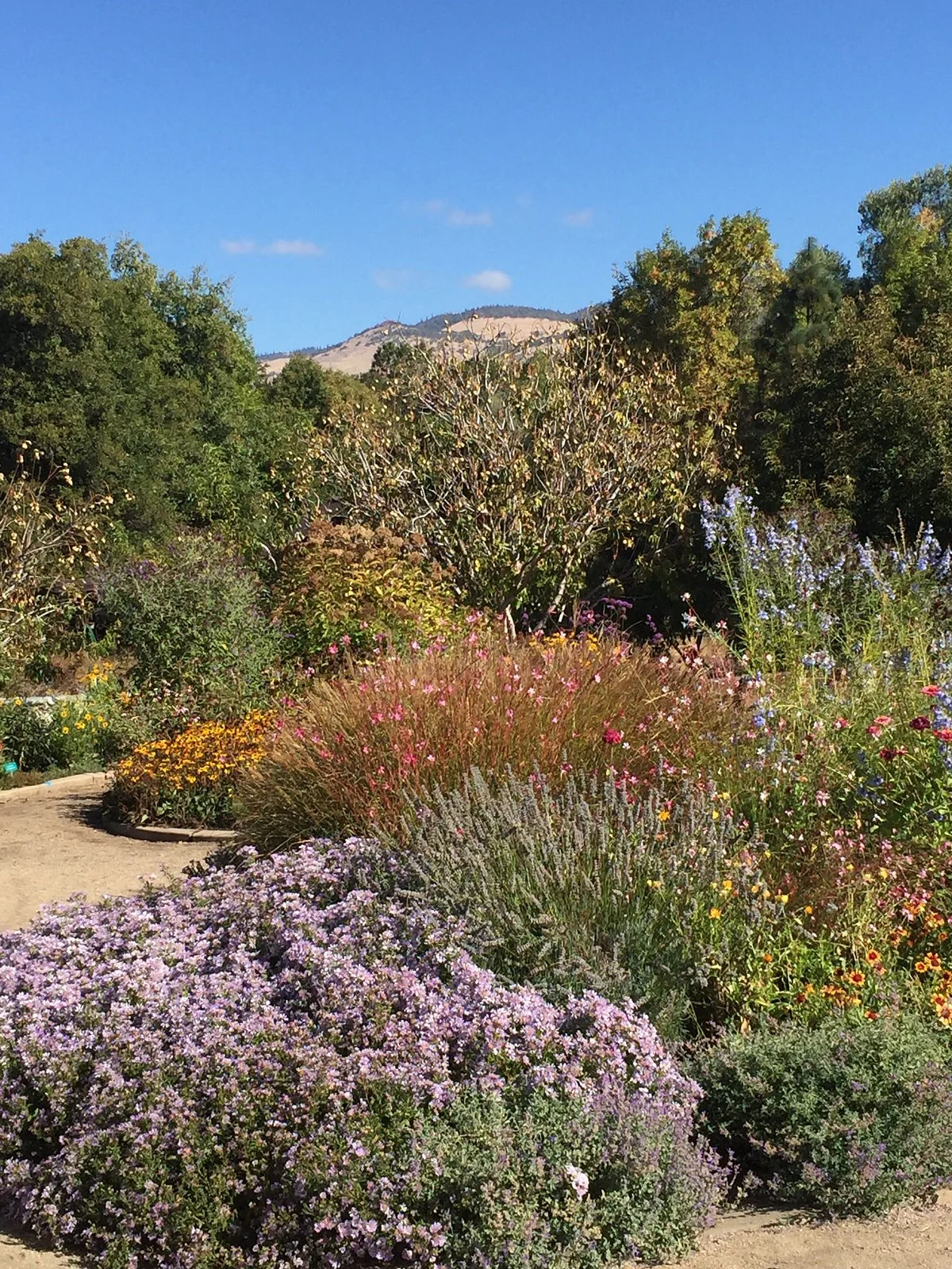 North Mountain Park