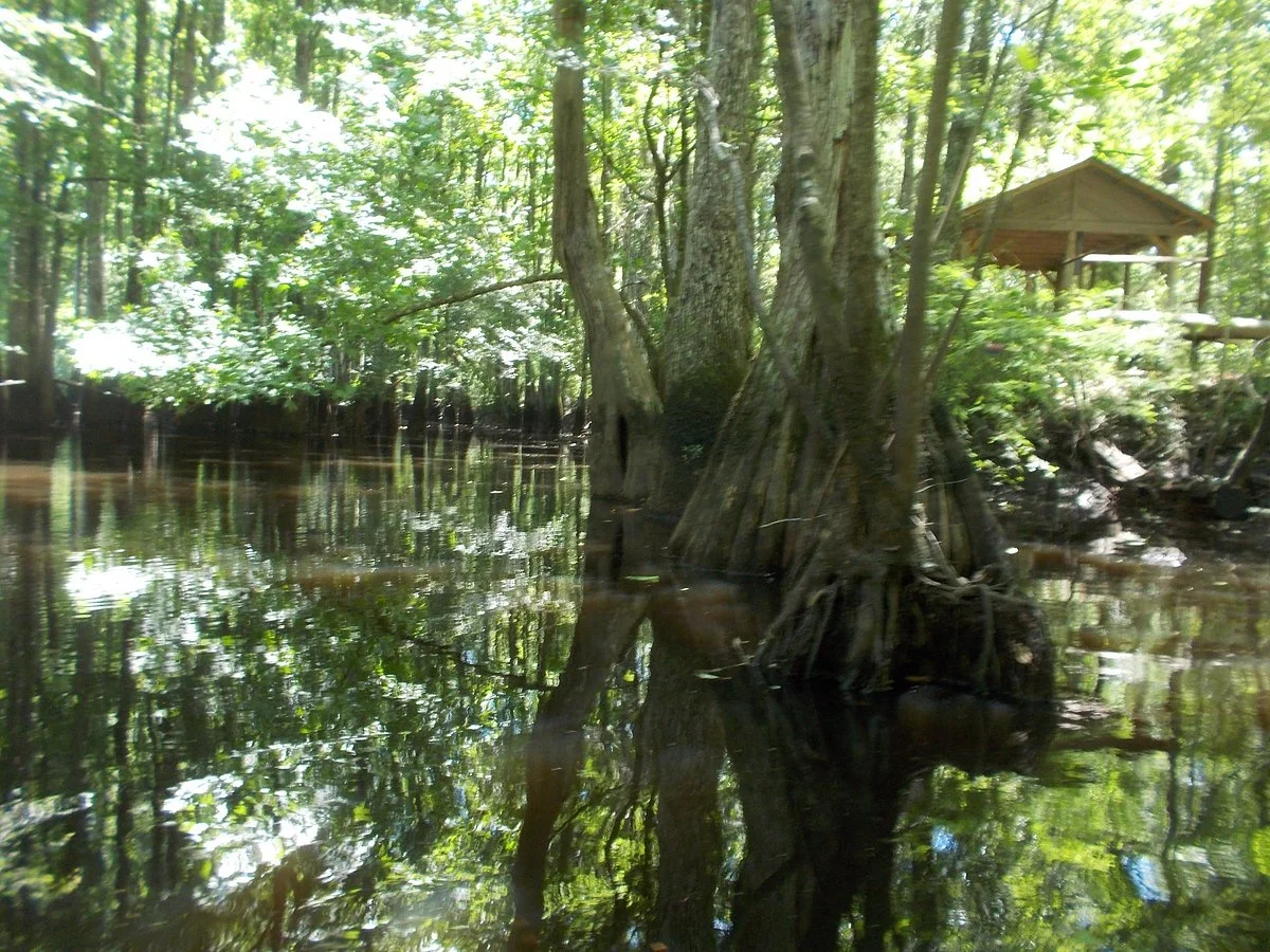 Colleton State Park
