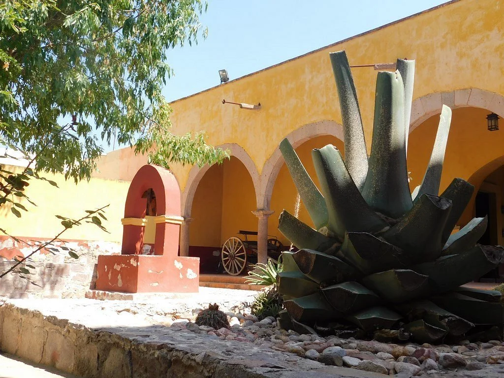 Casa Hidalgo. Museo Francia Chiquita