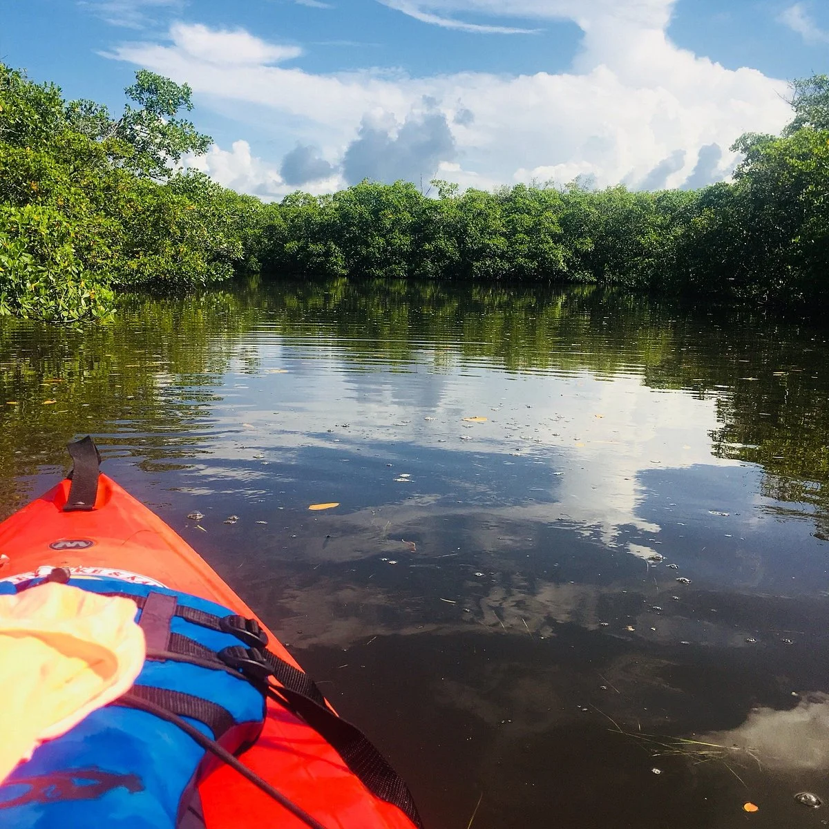 Jim Neville Marine Preserve