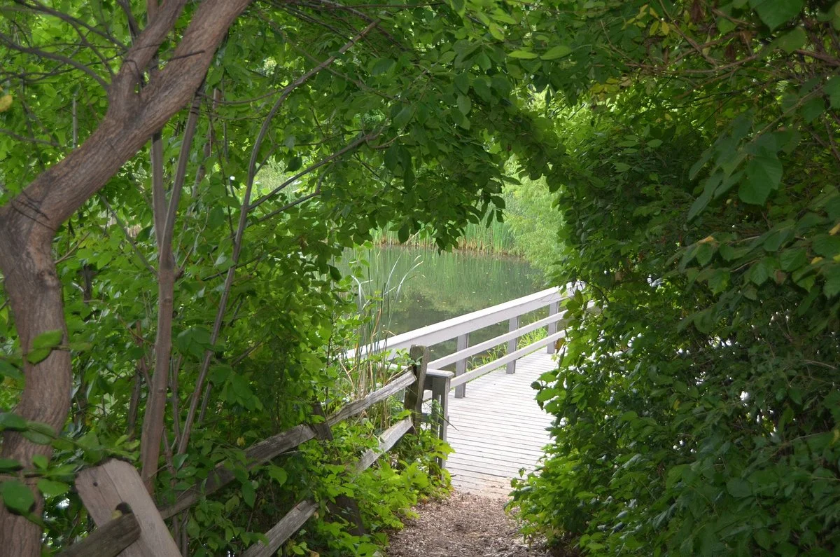 Emily Oaks Nature Center
