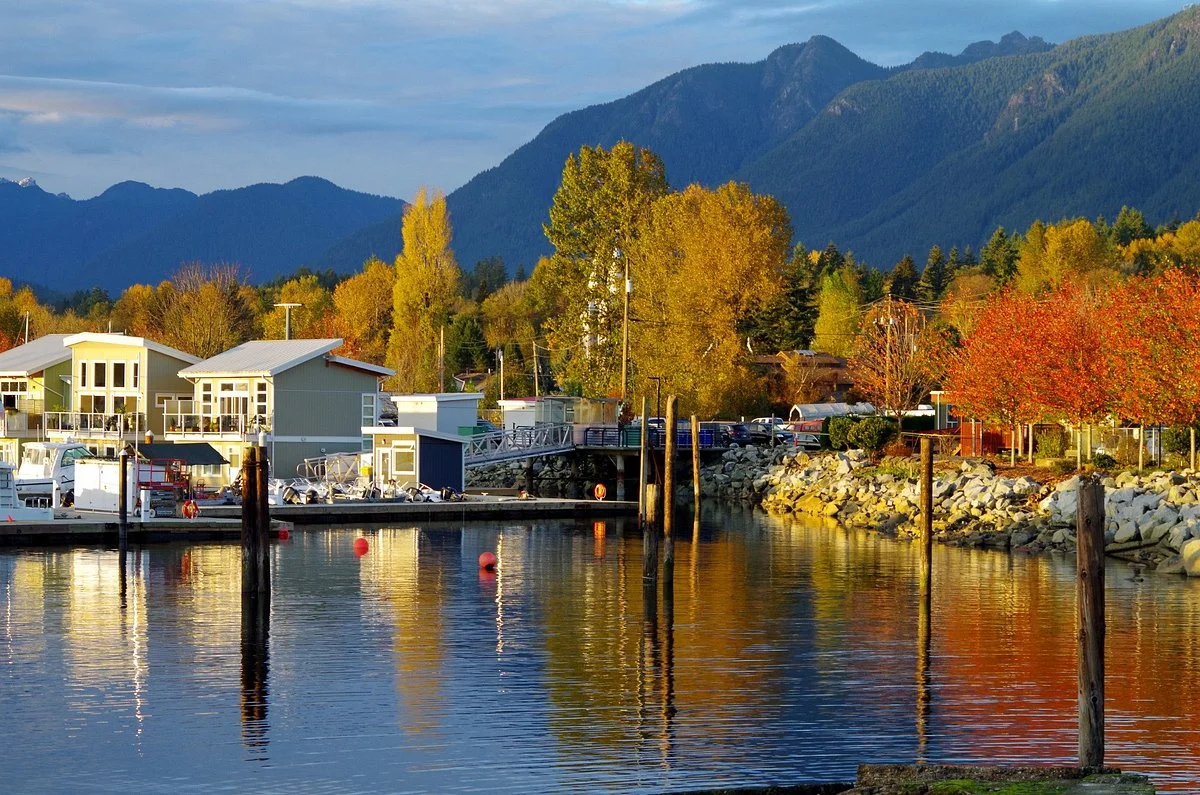 The Creek Marina
