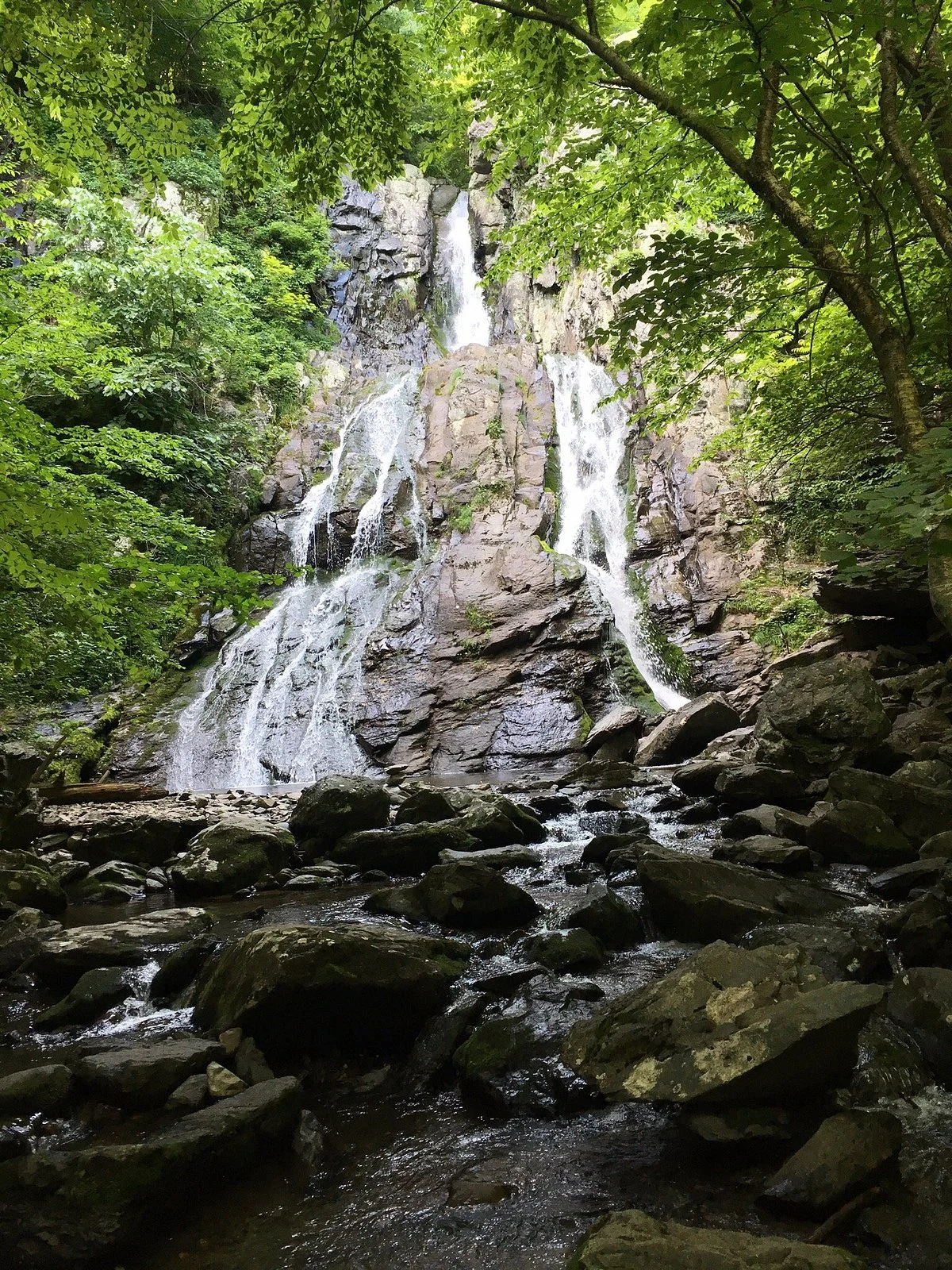 South River Falls Trail